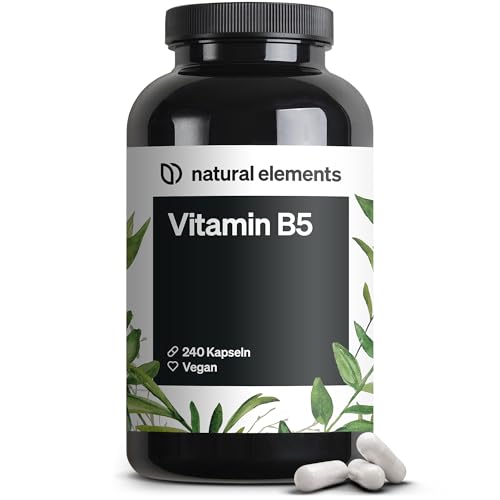 Vitamin B5 – 240 Kapseln - hochdosierte 500 mg...