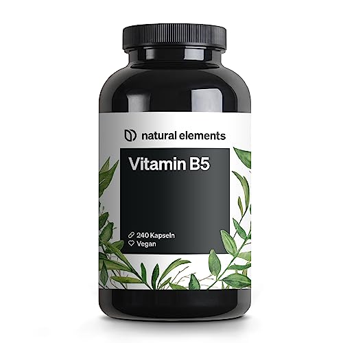 Vitamin B5 – 240 Kapseln - hochdosierte 500 mg...
